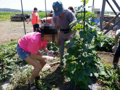 サイバーセキュリティ啓発用シール